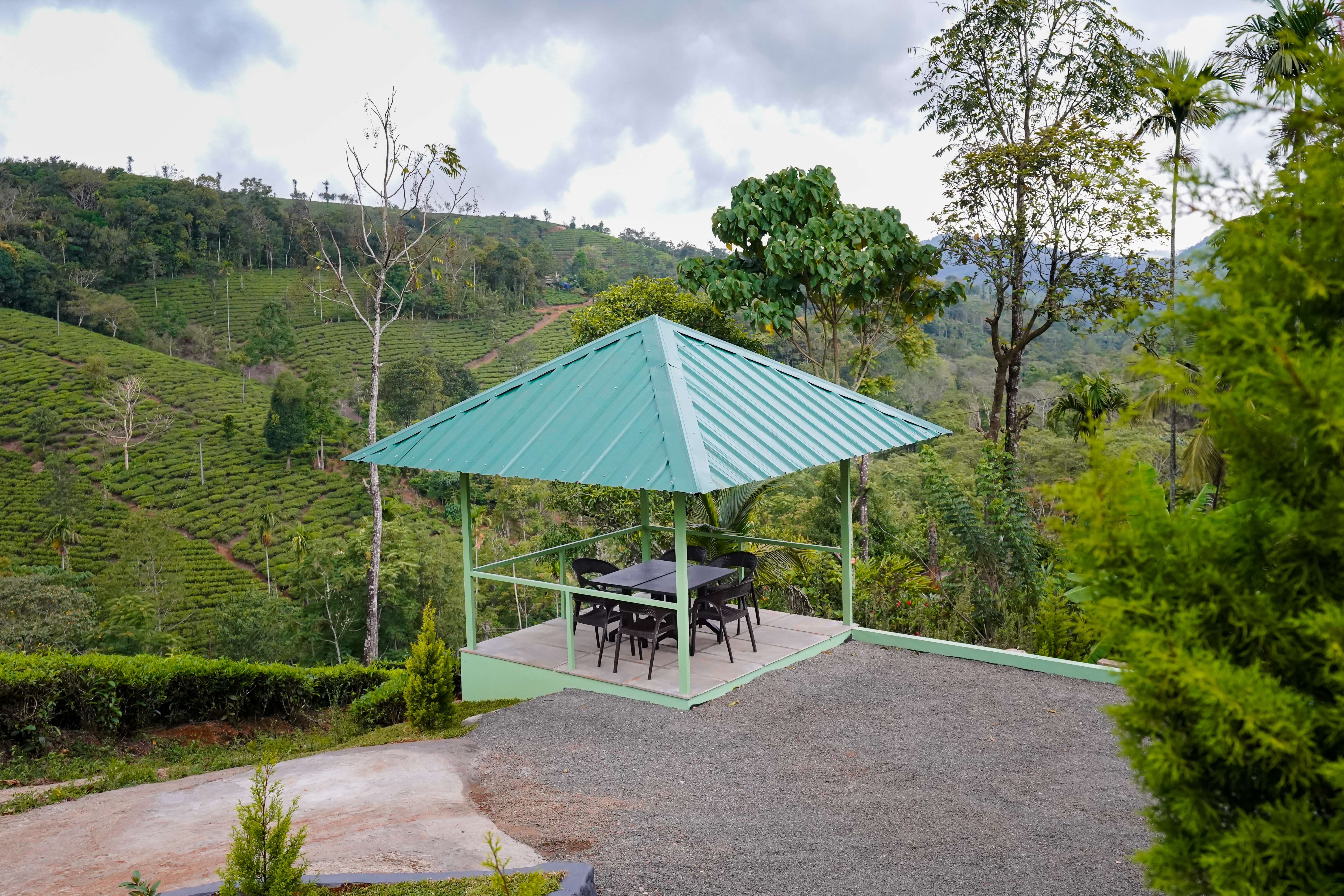 SereniTea Villa surrounded by lush green tea plantations in Vagamon, Kerala