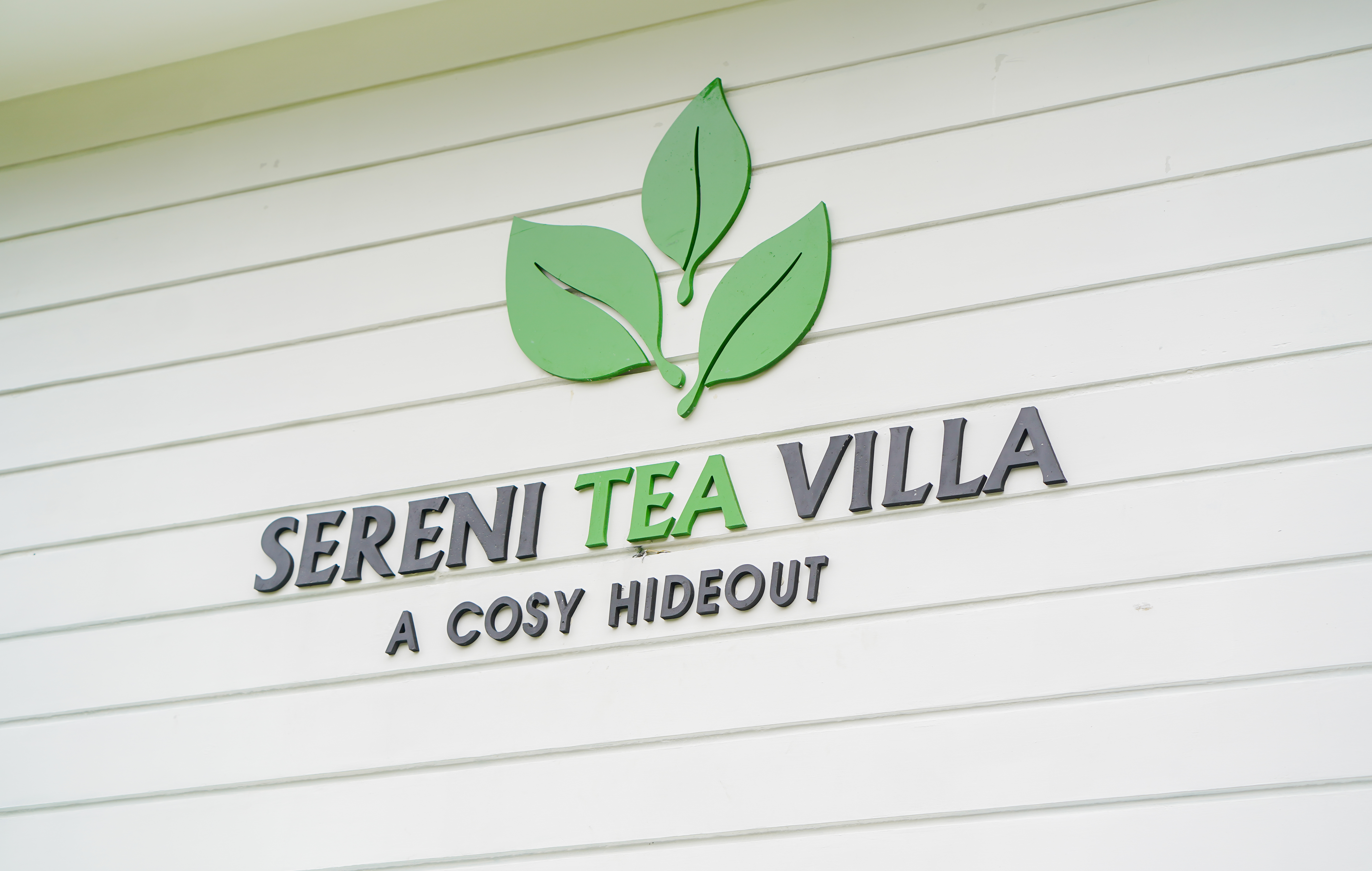 Misty morning view over tea gardens at SereniTea Villa, Vagamon